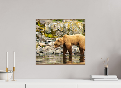 Looking for Dinner Nature Photography Print