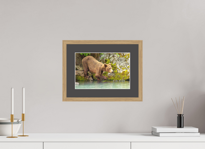 Testing the Waters Nature Photography Print