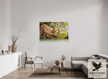 55.4 x 39″, Photo Print Under Acrylic Glass - ready to hang Momma on a Mission Nature Photography Print