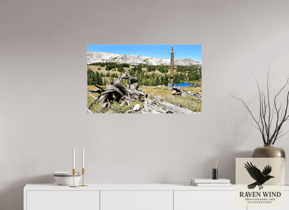 33.5 x 20″, Print on Canvas - ready to hang or set on a shelf Standing Bear Tree - Bear Lake, Colorado Nature Photography Print
