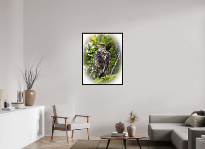Forest Watch – Young Eagle Among the Pines Nature Photography Print