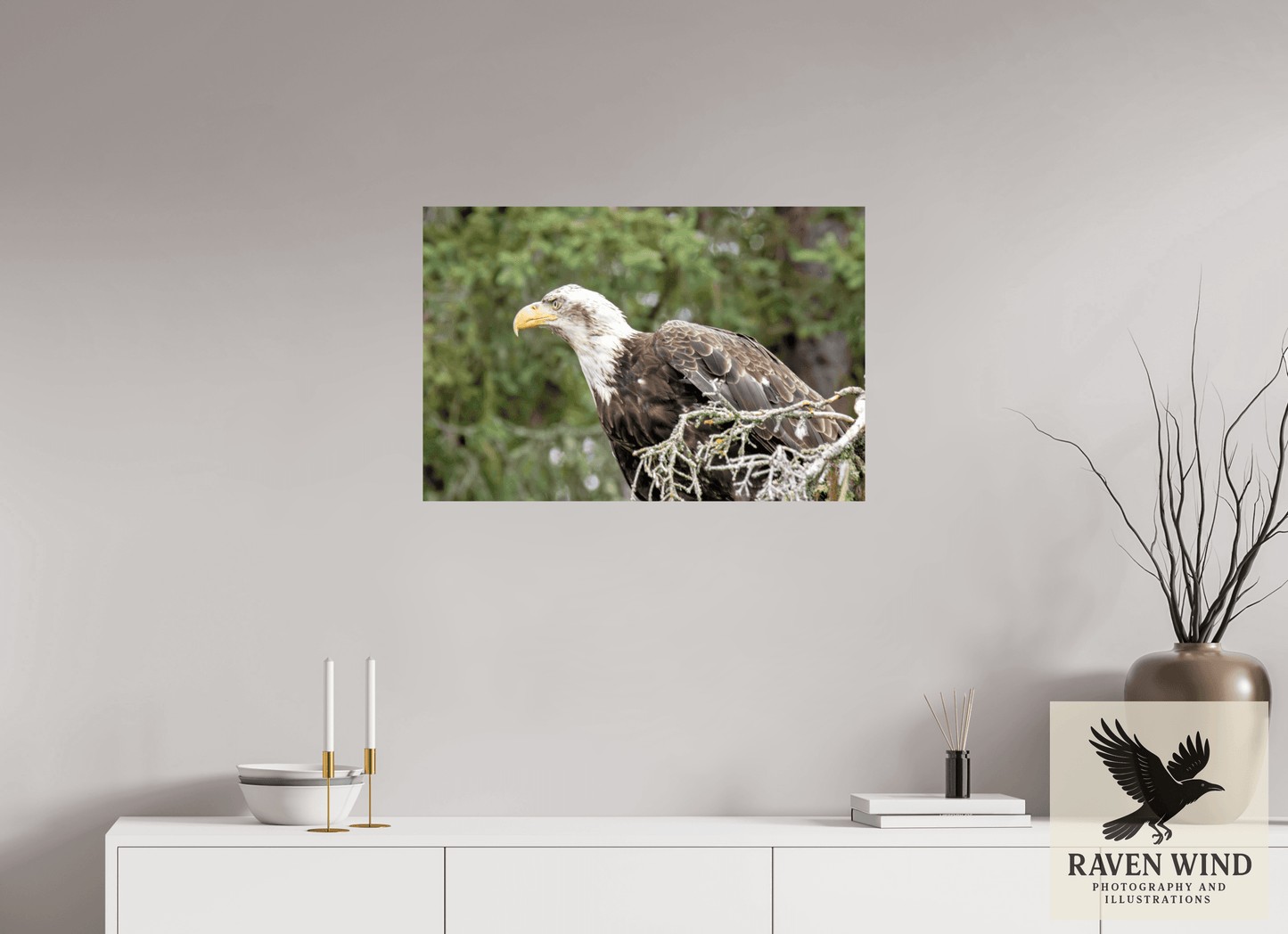 30 x 20″, Photo Print On Fuji Crystal DP II - unframed Majestic Watch - Bald Eagle on the Kenai Nature Photography Print