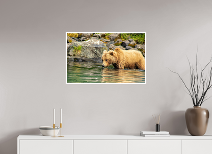 Wild Focus Nature Photography Print