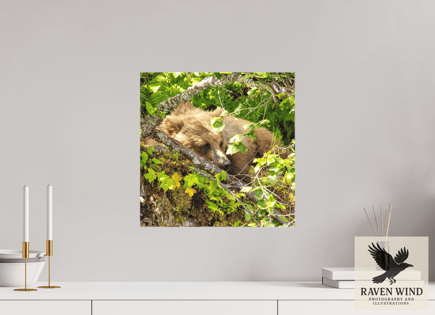 15 x 15″, Print on Canvas - ready to hang or set on a shelf Hide and Peek Nature Photography Print
