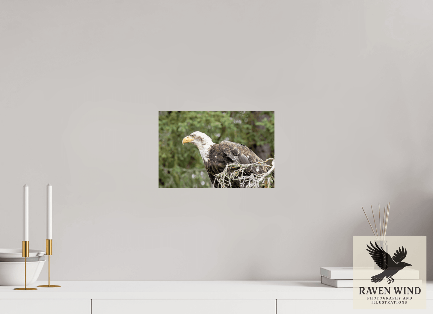 12 x 8″, Photo Print On Fuji Crystal DP II - unframed Majestic Watch - Bald Eagle on the Kenai Nature Photography Print