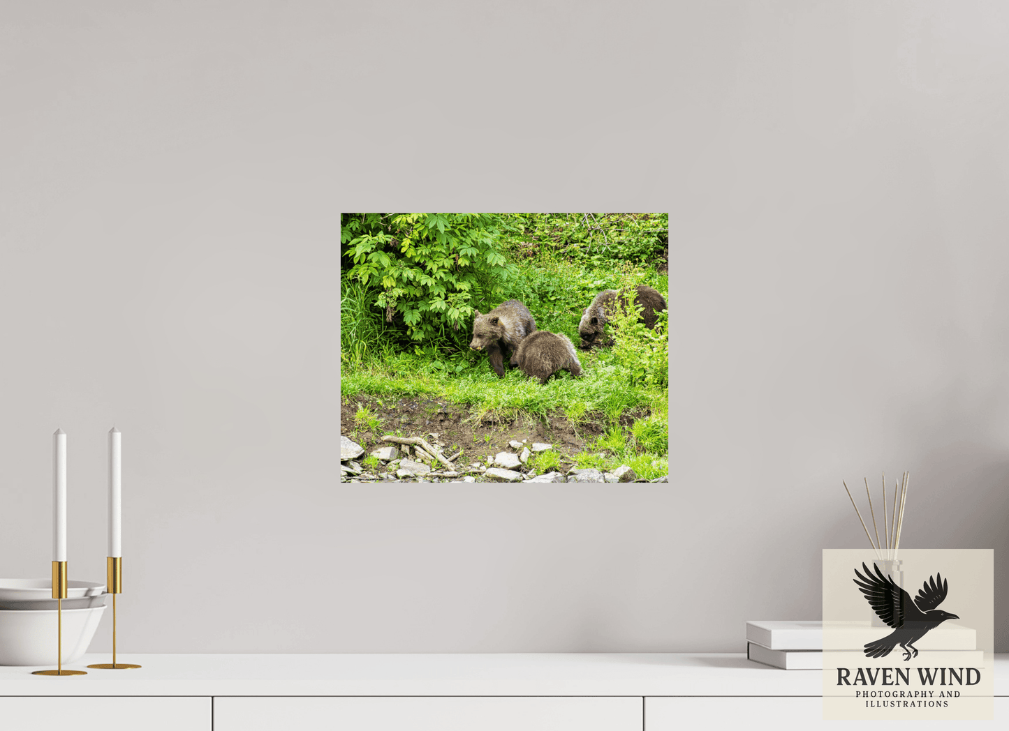 14.6 x 12″, Photo Print On Fuji Crystal DP II - unframed Brown Bear Triplets Nature Photography Print