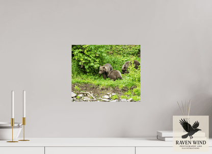 14.6 x 12″, Photo Print On Fuji Crystal DP II - unframed Brown Bear Triplets Nature Photography Print