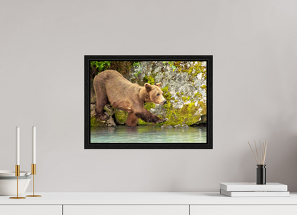 Momma on a Mission Nature Photography Print