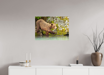 Momma on a Mission Nature Photography Print
