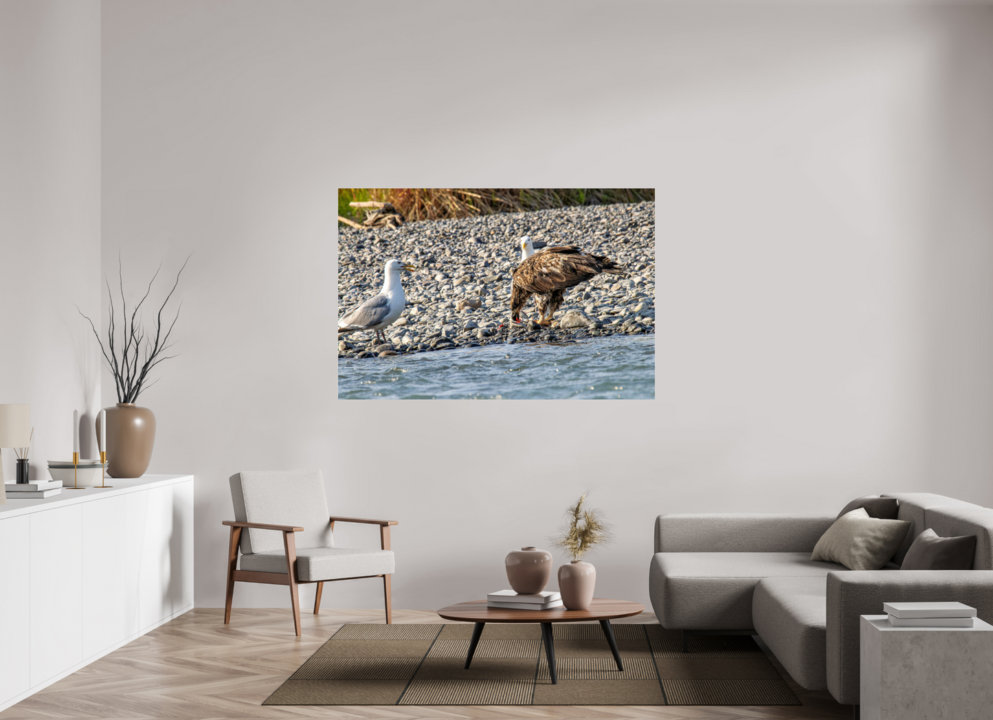 Mine? Mine? – Bald Eagle and Seagull Shoreline Standoff Nature Photography Print