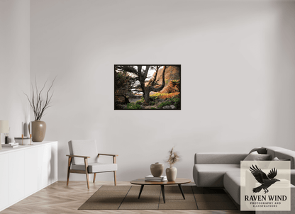 45 x 30″, Floater Frame - black oak frame - ready to hang Sunset Glow Fine Art Nature Photography Print