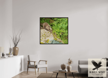 41.3 x 39″, Floater Frame -black oak frame - ready to hang Learning the Ropes Nature Photography Print