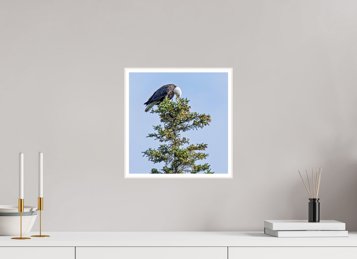 Silent Sentinel – Bald Eagle in Alaska’s Pines Nature Photography Print