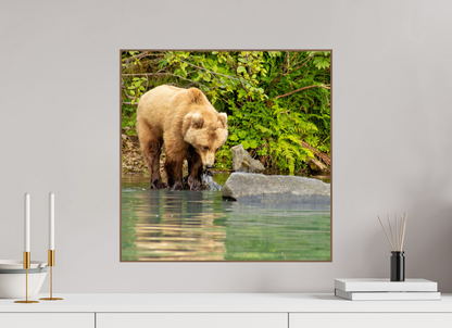 That's a miss! Nature Photography Print