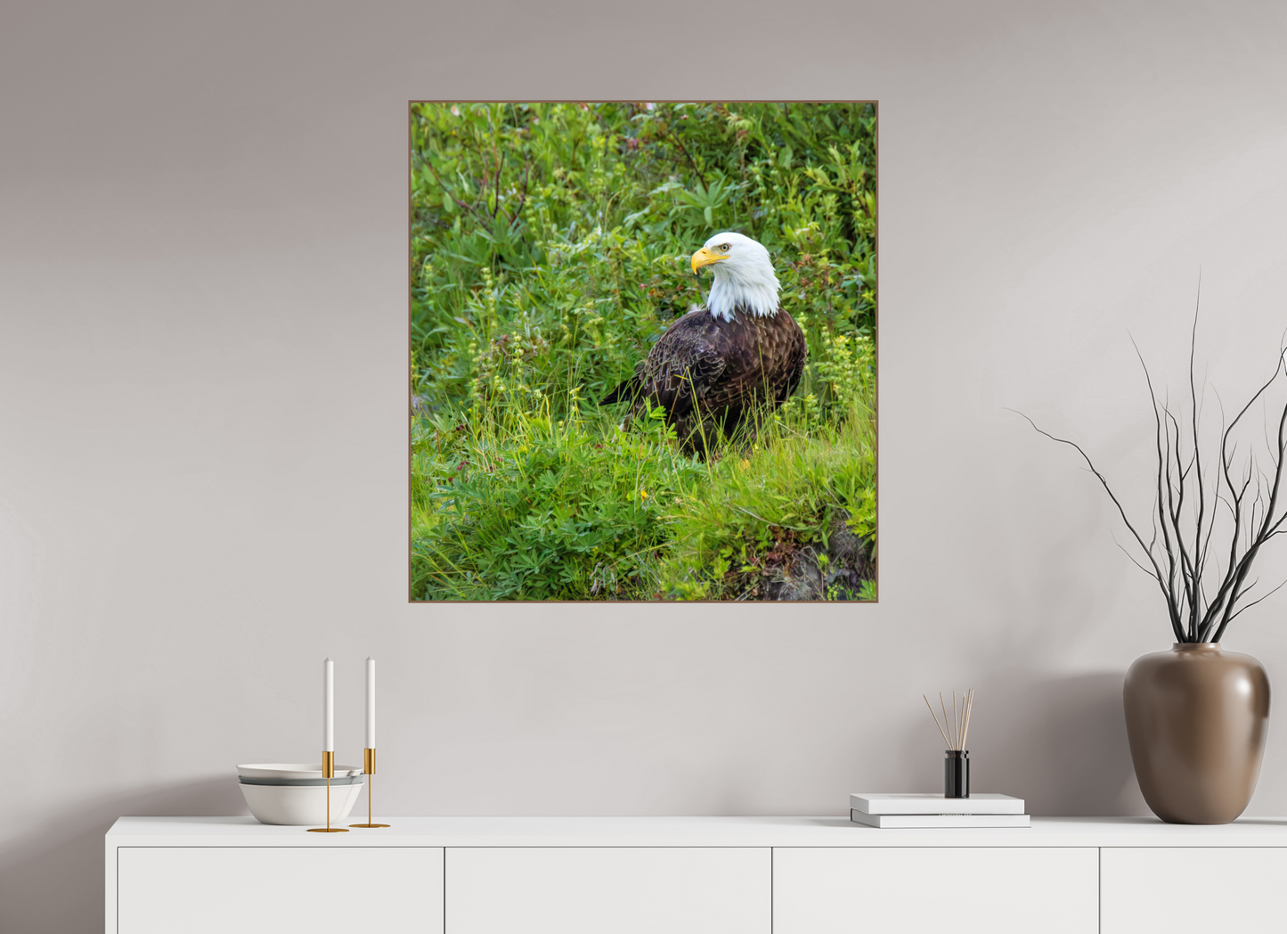 Grounded Majesty – Bald Eagle in Alaska’s Wilderness Nature Photography Print