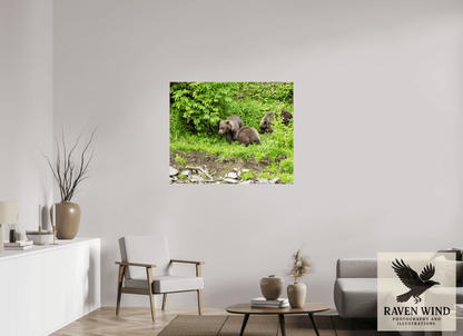 Raven Wind Photography & Illustrations-Brown Bear Triplets Fine Art Wildlife Photography Print -