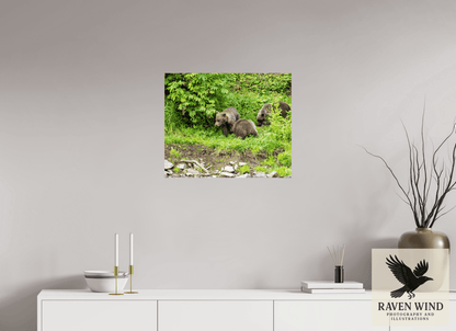 Raven Wind Photography & Illustrations-Brown Bear Triplets Fine Art Wildlife Photography Print -
