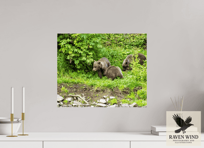Raven Wind Photography & Illustrations-Brown Bear Triplets Fine Art Wildlife Photography Print -