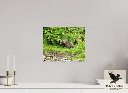 Raven Wind Photography & Illustrations-Brown Bear Triplets Fine Art Wildlife Photography Print -