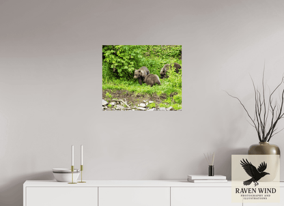 Raven Wind Photography & Illustrations-Brown Bear Triplets Fine Art Wildlife Photography Print -