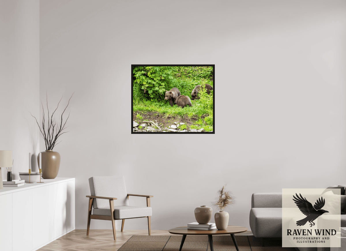 Raven Wind Photography & Illustrations-Brown Bear Triplets Fine Art Wildlife Photography Print -