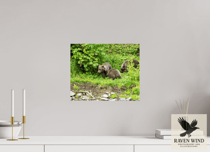 Raven Wind Photography & Illustrations-Brown Bear Triplets Fine Art Wildlife Photography Print -