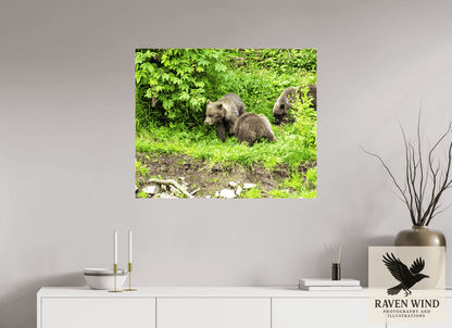 Raven Wind Photography & Illustrations-Brown Bear Triplets Fine Art Wildlife Photography Print -