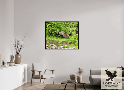 Raven Wind Photography & Illustrations-Brown Bear Triplets Fine Art Wildlife Photography Print -