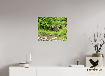 Raven Wind Photography & Illustrations-Brown Bear Triplets Fine Art Wildlife Photography Print -