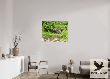 Raven Wind Photography & Illustrations-Brown Bear Triplets Fine Art Wildlife Photography Print -