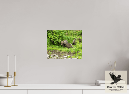 Raven Wind Photography & Illustrations-Brown Bear Triplets Fine Art Wildlife Photography Print -