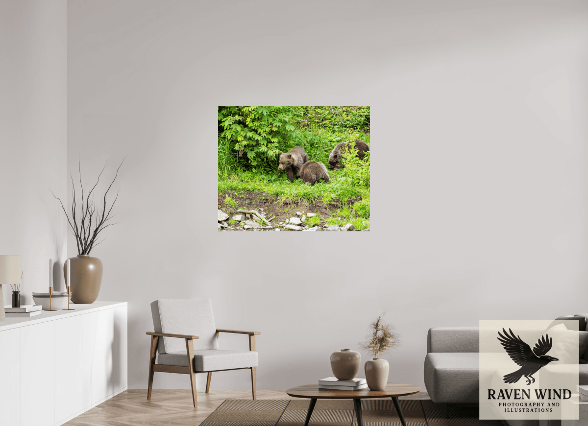 Raven Wind Photography & Illustrations-Brown Bear Triplets Fine Art Wildlife Photography Print -