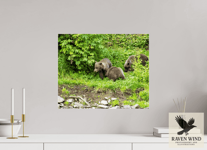 Raven Wind Photography & Illustrations-Brown Bear Triplets Fine Art Wildlife Photography Print -