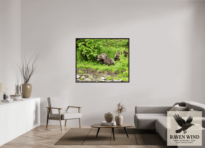 Raven Wind Photography & Illustrations-Brown Bear Triplets Fine Art Wildlife Photography Print -
