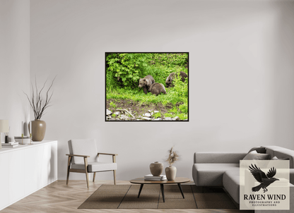 Raven Wind Photography & Illustrations-Brown Bear Triplets Fine Art Wildlife Photography Print -