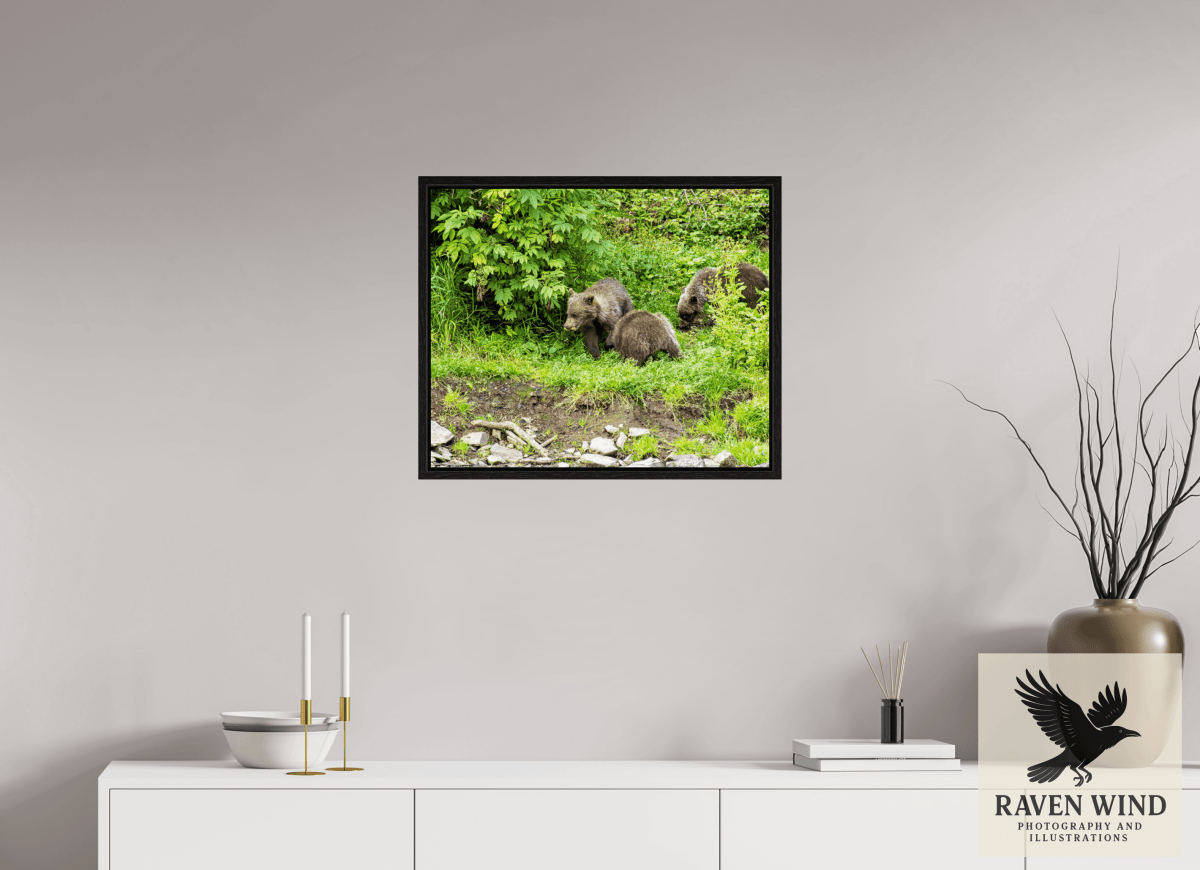 Raven Wind Photography & Illustrations-Brown Bear Triplets Fine Art Wildlife Photography Print -