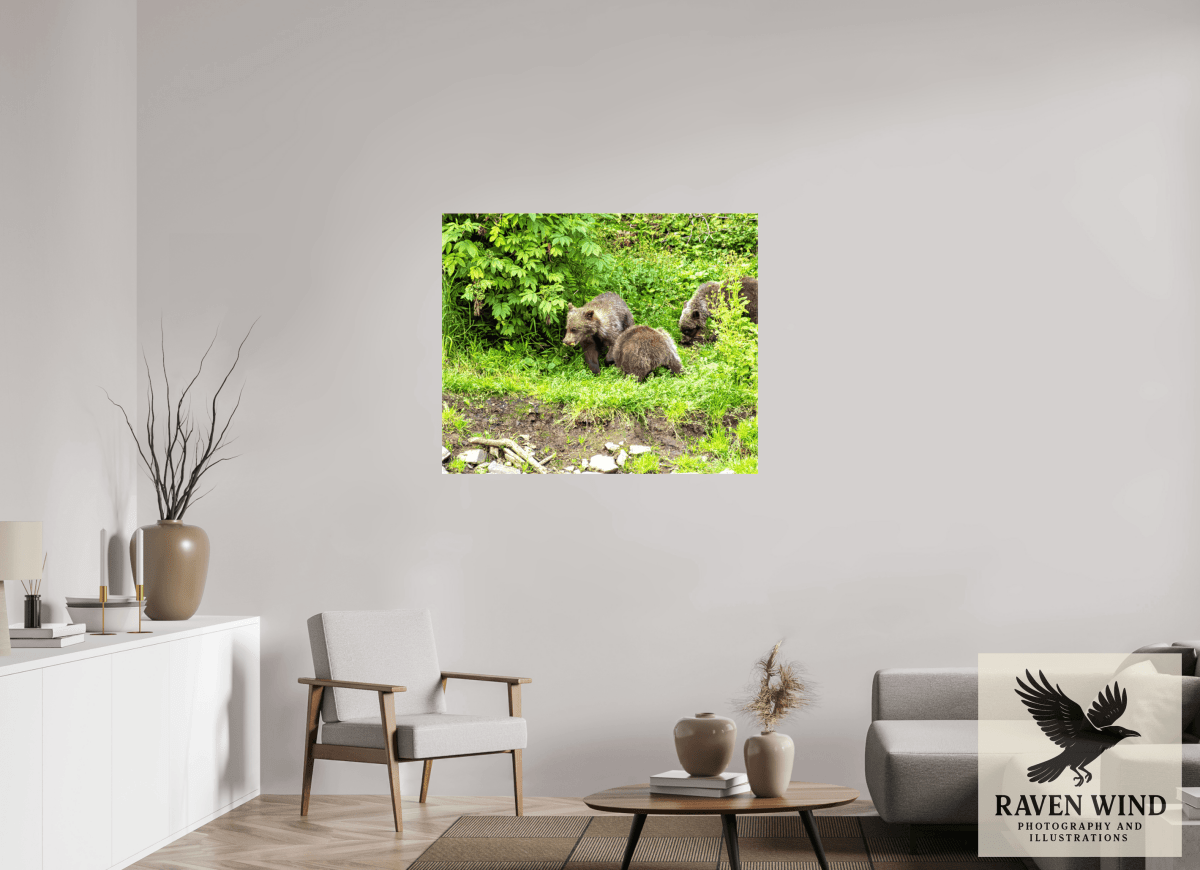 Raven Wind Photography & Illustrations-Brown Bear Triplets Fine Art Wildlife Photography Print -