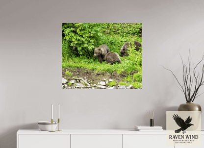 Raven Wind Photography & Illustrations-Brown Bear Triplets Fine Art Wildlife Photography Print -