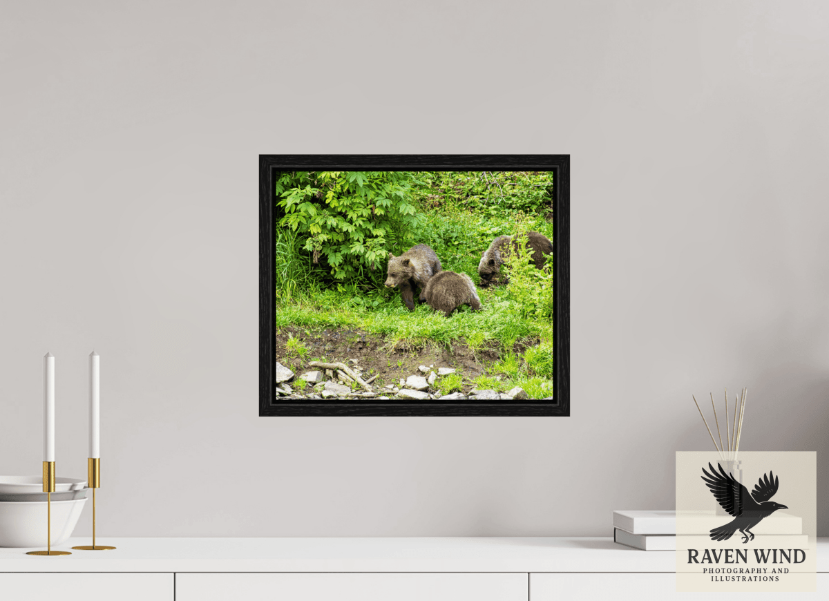 Raven Wind Photography & Illustrations-Brown Bear Triplets Fine Art Wildlife Photography Print -