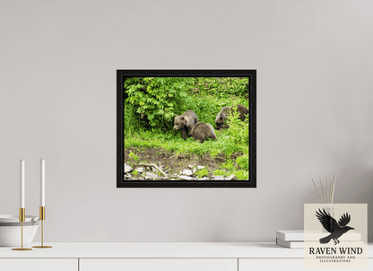 Raven Wind Photography & Illustrations-Brown Bear Triplets Fine Art Wildlife Photography Print -