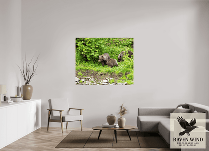 Raven Wind Photography & Illustrations-Brown Bear Triplets Fine Art Wildlife Photography Print -