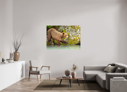 Momma on a Mission Nature Photography Print