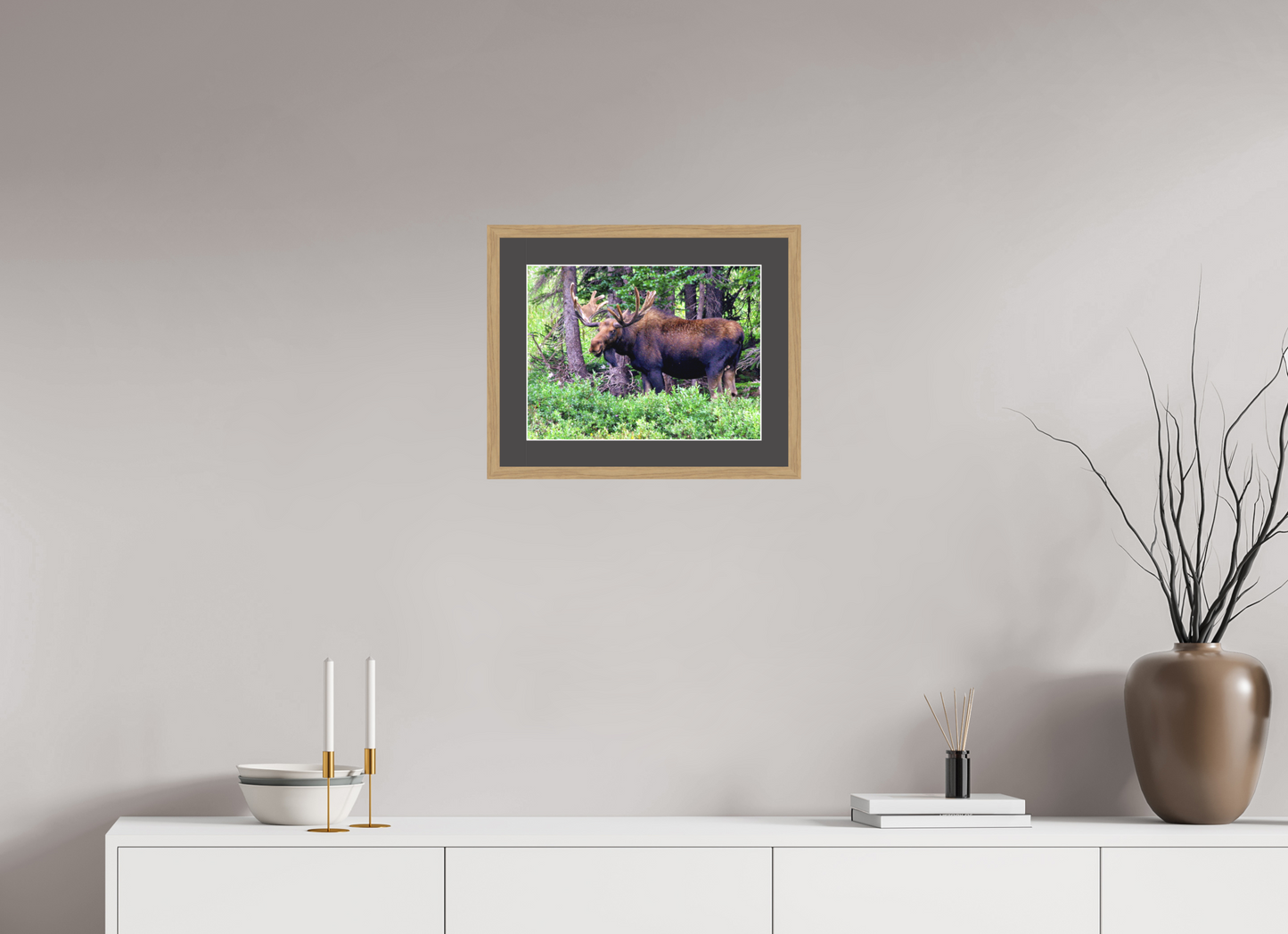 Watchful Moose - Fine Art Wildlife Print