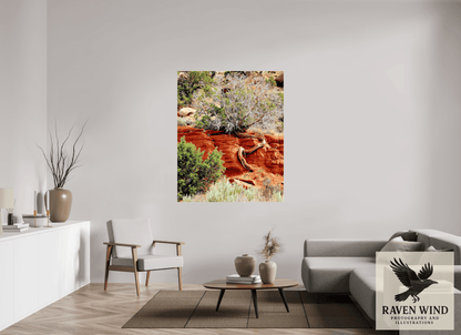 47 x 58″, Print on Canvas - ready to hang or set on a shelf Resilient Roots Nature Photography Print