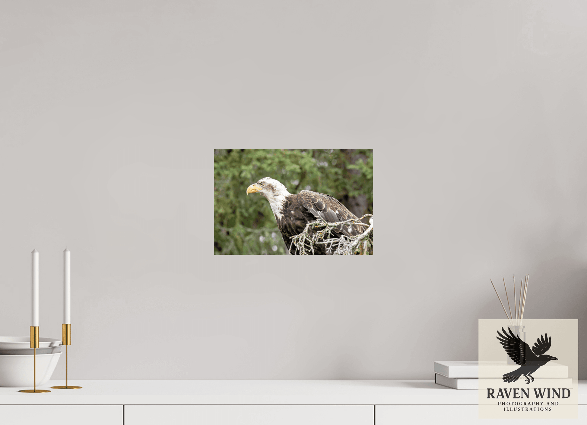 12 x 8″, ChromaLuxe HD Metal Print - ready to hang Majestic Watch - Bald Eagle on the Kenai Nature Photography Print