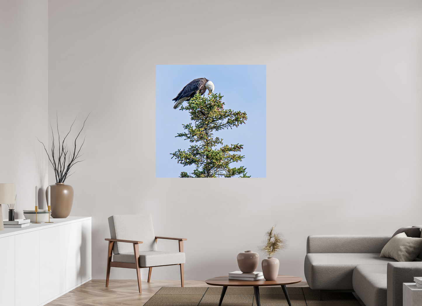 Silent Sentinel – Bald Eagle in Alaska’s Pines Nature Photography Print