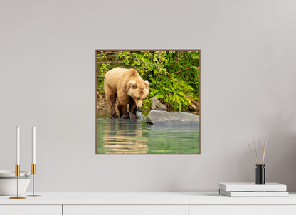 That's a miss! Nature Photography Print