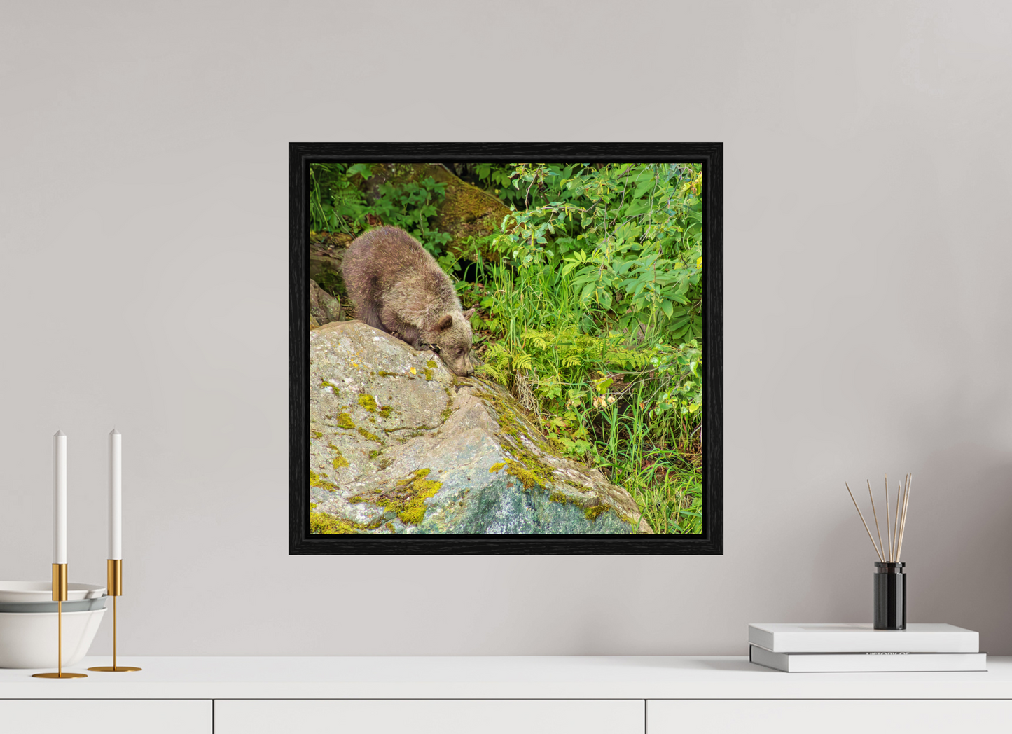 Learning the Ropes Nature Photography Print