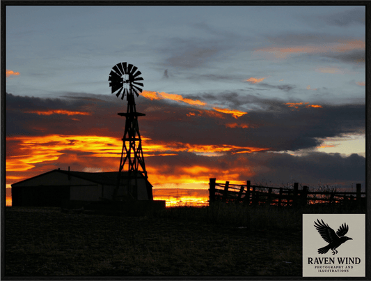 Main image Sunset Sentinel Nature Photography Print