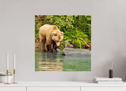 That's a miss! Nature Photography Print